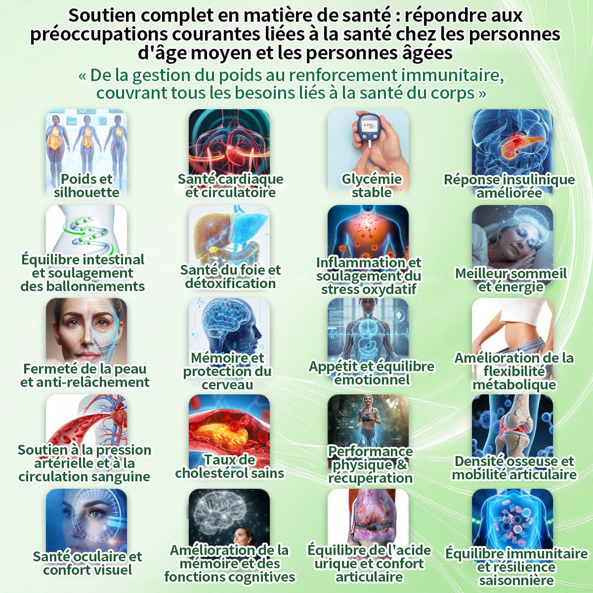 Entièrement repensé 👩‍⚕️| GFOUK® Moringa · Berbérine × NAD+ Timbre de nano-micro-aiguilles avancé 10 en 1 |🐧 Appuyé par la science | Formule 10 en 1 | Résultats en 7 jours 🥕