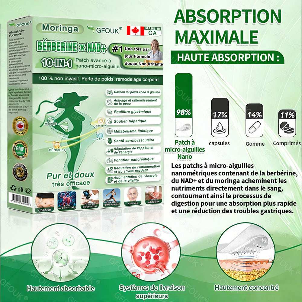 Entièrement repensé 👩‍⚕️| GFOUK® Moringa · Berbérine × NAD+ Timbre de nano-micro-aiguilles avancé 10 en 1 |🐧 Appuyé par la science | Formule 10 en 1 | Résultats en 7 jours 🥕