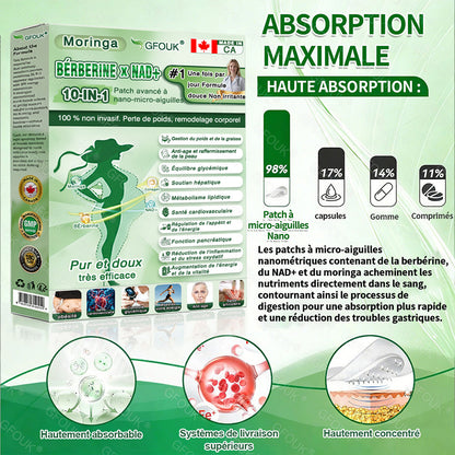 Entièrement repensé 👩‍⚕️| GFOUK® Moringa · Berbérine × NAD+ Timbre de nano-micro-aiguilles avancé 10 en 1 |🐧 Appuyé par la science | Formule 10 en 1 | Résultats en 7 jours 🥕