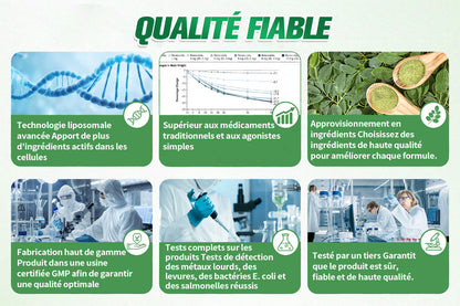 Entièrement repensé 👩‍⚕️| GFOUK® Moringa · Berbérine × NAD+ Timbre de nano-micro-aiguilles avancé 10 en 1 |🐧 Appuyé par la science | Formule 10 en 1 | Résultats en 7 jours 🥕