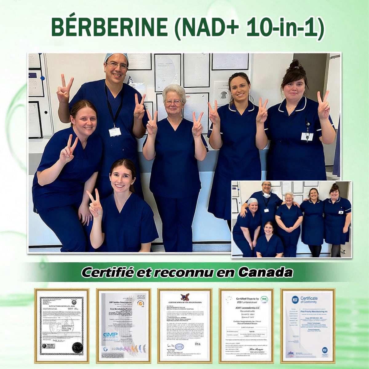 Entièrement repensé 👩‍⚕️| GFOUK® Moringa · Berbérine × NAD+ Timbre de nano-micro-aiguilles avancé 10 en 1 |🐧 Appuyé par la science | Formule 10 en 1 | Résultats en 7 jours 🥕